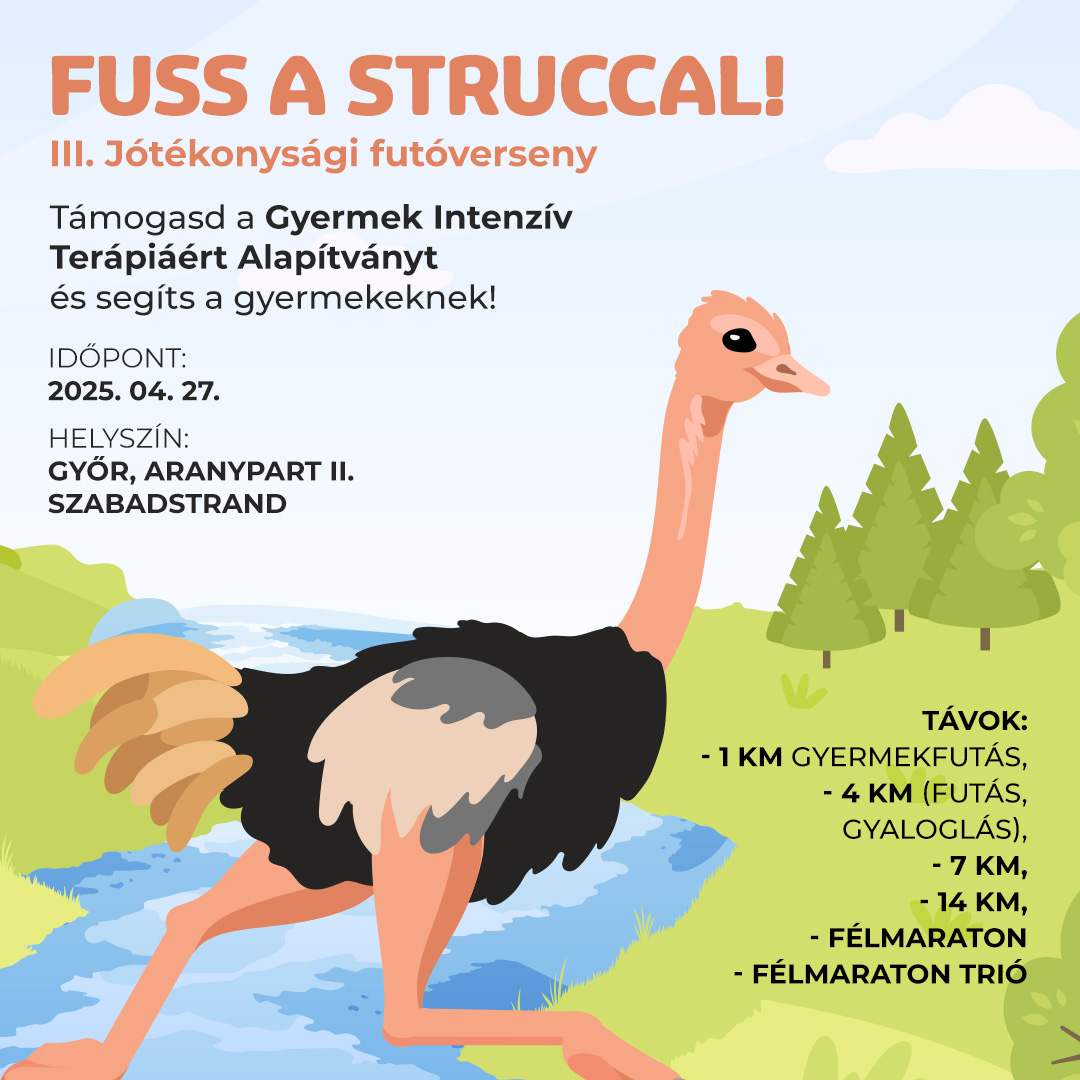 Fuss a struccal III. Jótékonysági futofesztivál